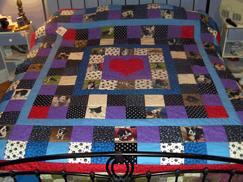 NEBCR quilt